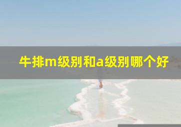 牛排m级别和a级别哪个好