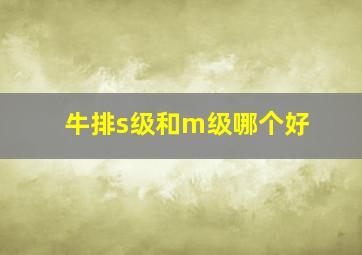 牛排s级和m级哪个好