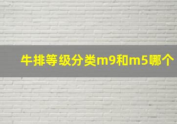 牛排等级分类m9和m5哪个