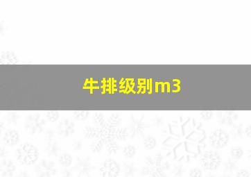 牛排级别m3