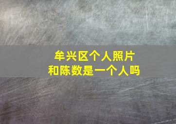 牟兴区个人照片和陈数是一个人吗