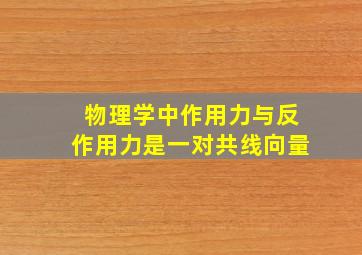 物理学中作用力与反作用力是一对共线向量