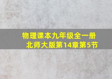 物理课本九年级全一册北师大版第14章第5节