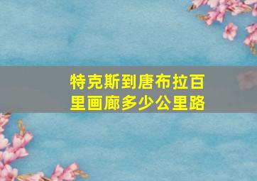 特克斯到唐布拉百里画廊多少公里路