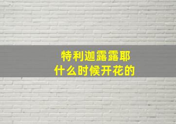 特利迦露露耶什么时候开花的