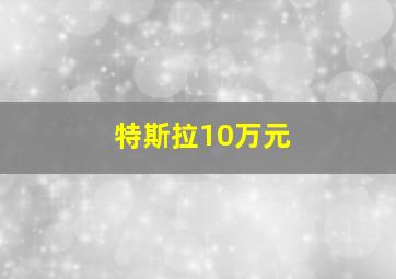 特斯拉10万元