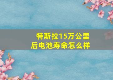 特斯拉15万公里后电池寿命怎么样