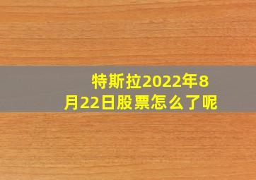 特斯拉2022年8月22日股票怎么了呢