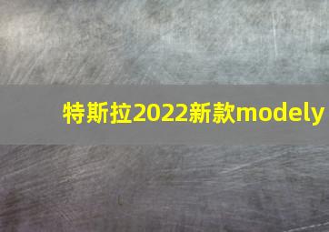 特斯拉2022新款modely