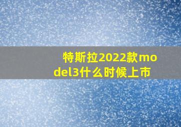 特斯拉2022款model3什么时候上市