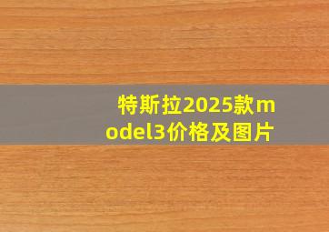 特斯拉2025款model3价格及图片