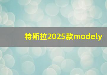 特斯拉2025款modely