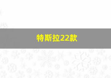 特斯拉22款