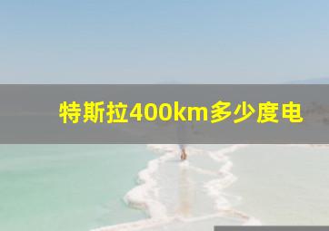 特斯拉400km多少度电