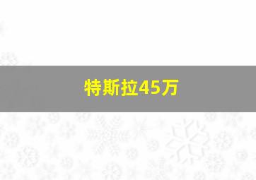 特斯拉45万