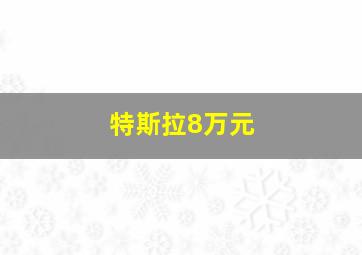 特斯拉8万元