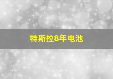 特斯拉8年电池