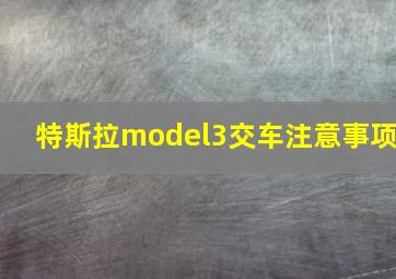 特斯拉model3交车注意事项