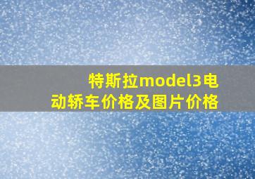 特斯拉model3电动轿车价格及图片价格