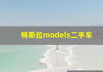 特斯拉models二手车