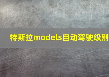 特斯拉models自动驾驶级别