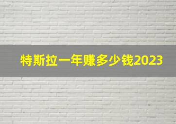 特斯拉一年赚多少钱2023