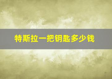 特斯拉一把钥匙多少钱