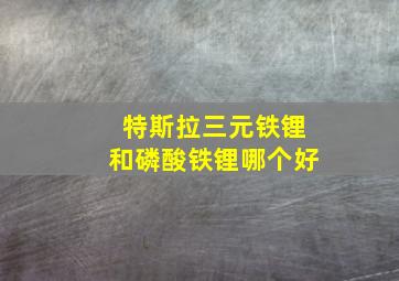 特斯拉三元铁锂和磷酸铁锂哪个好