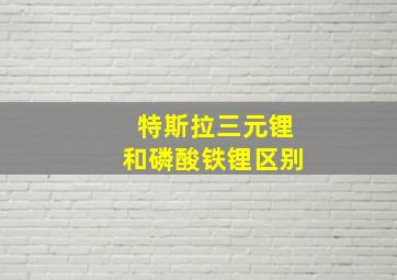 特斯拉三元锂和磷酸铁锂区别