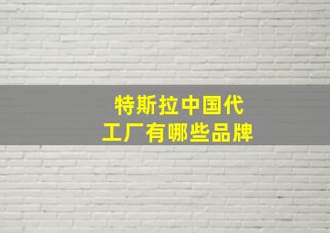 特斯拉中国代工厂有哪些品牌