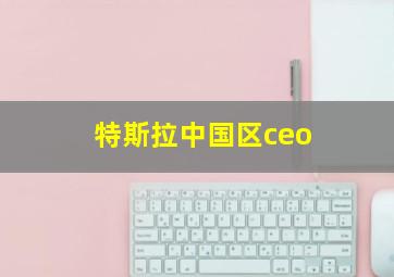 特斯拉中国区ceo