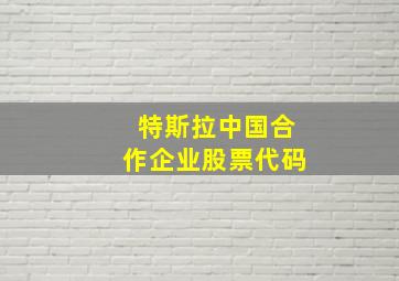 特斯拉中国合作企业股票代码