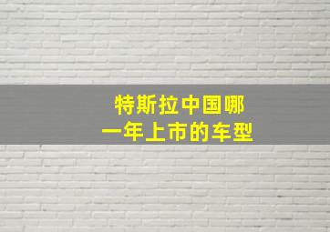 特斯拉中国哪一年上市的车型