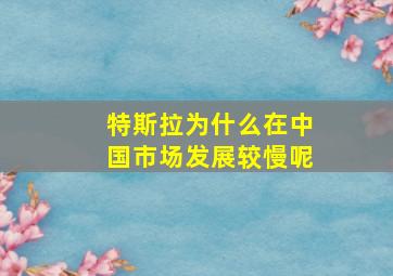 特斯拉为什么在中国市场发展较慢呢