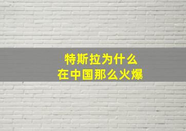 特斯拉为什么在中国那么火爆