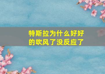 特斯拉为什么好好的吹风了没反应了