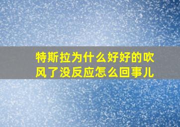 特斯拉为什么好好的吹风了没反应怎么回事儿