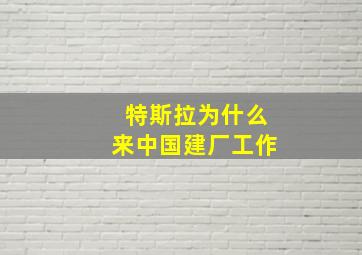 特斯拉为什么来中国建厂工作