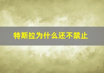 特斯拉为什么还不禁止