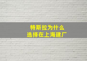 特斯拉为什么选择在上海建厂