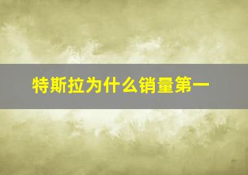 特斯拉为什么销量第一