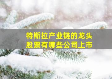 特斯拉产业链的龙头股票有哪些公司上市