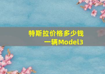 特斯拉价格多少钱一辆Model3