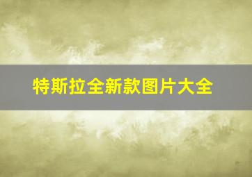 特斯拉全新款图片大全