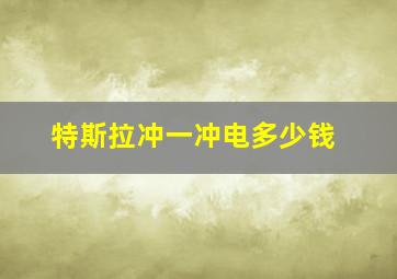 特斯拉冲一冲电多少钱