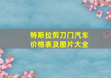 特斯拉剪刀门汽车价格表及图片大全