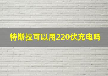 特斯拉可以用220伏充电吗