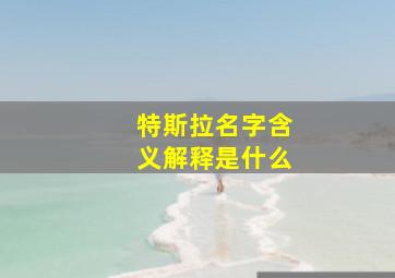 特斯拉名字含义解释是什么