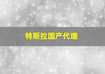 特斯拉国产代理