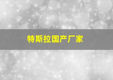 特斯拉国产厂家